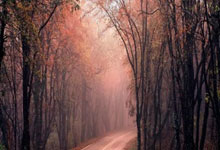 上港在中超所向无敌，为何一碰到申花就立刻变怂，主要有3点原因