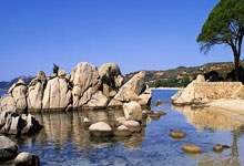 上港在中超所向无敌，为何一碰到申花就立刻变怂，主要有3点原因