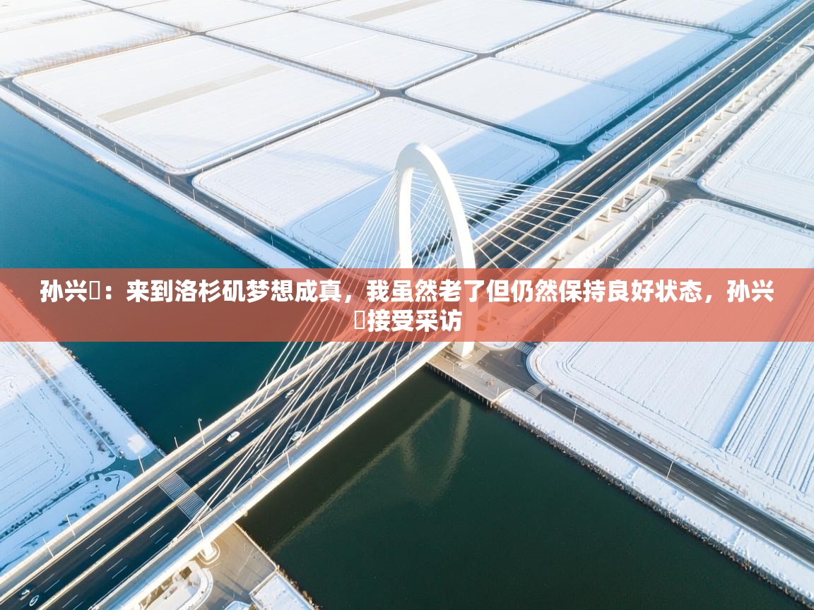 孙兴慜：来到洛杉矶梦想成真，我虽然老了但仍然保持良好状态，孙兴慜接受采访  第1张