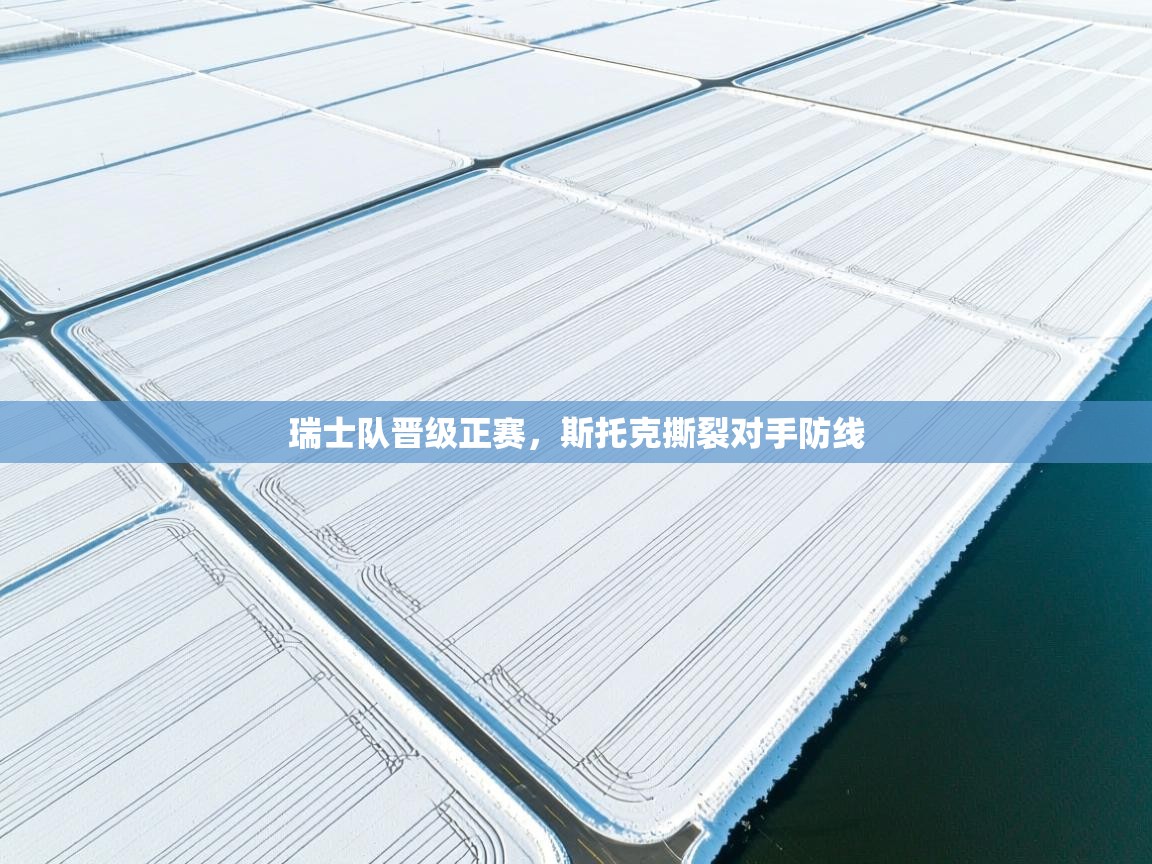 瑞士队晋级正赛，斯托克撕裂对手防线