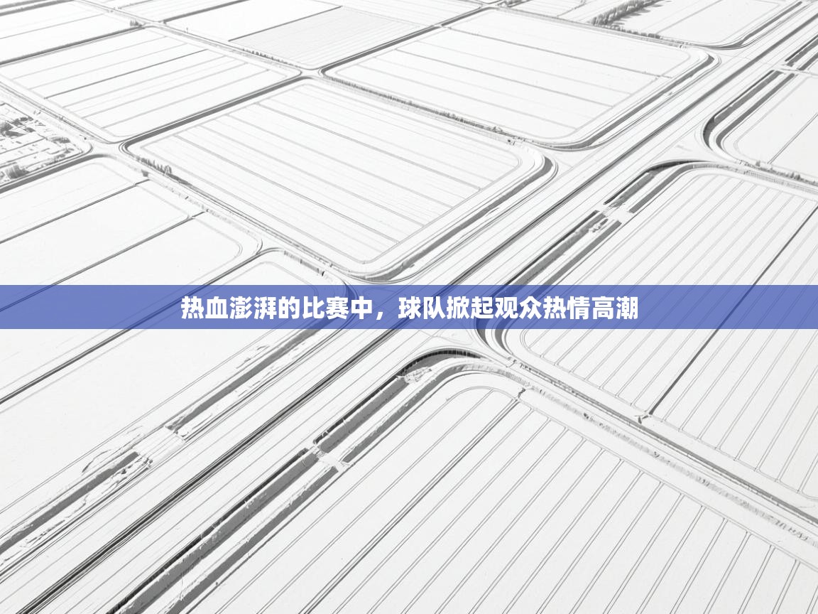 热血澎湃的比赛中，球队掀起观众热情高潮