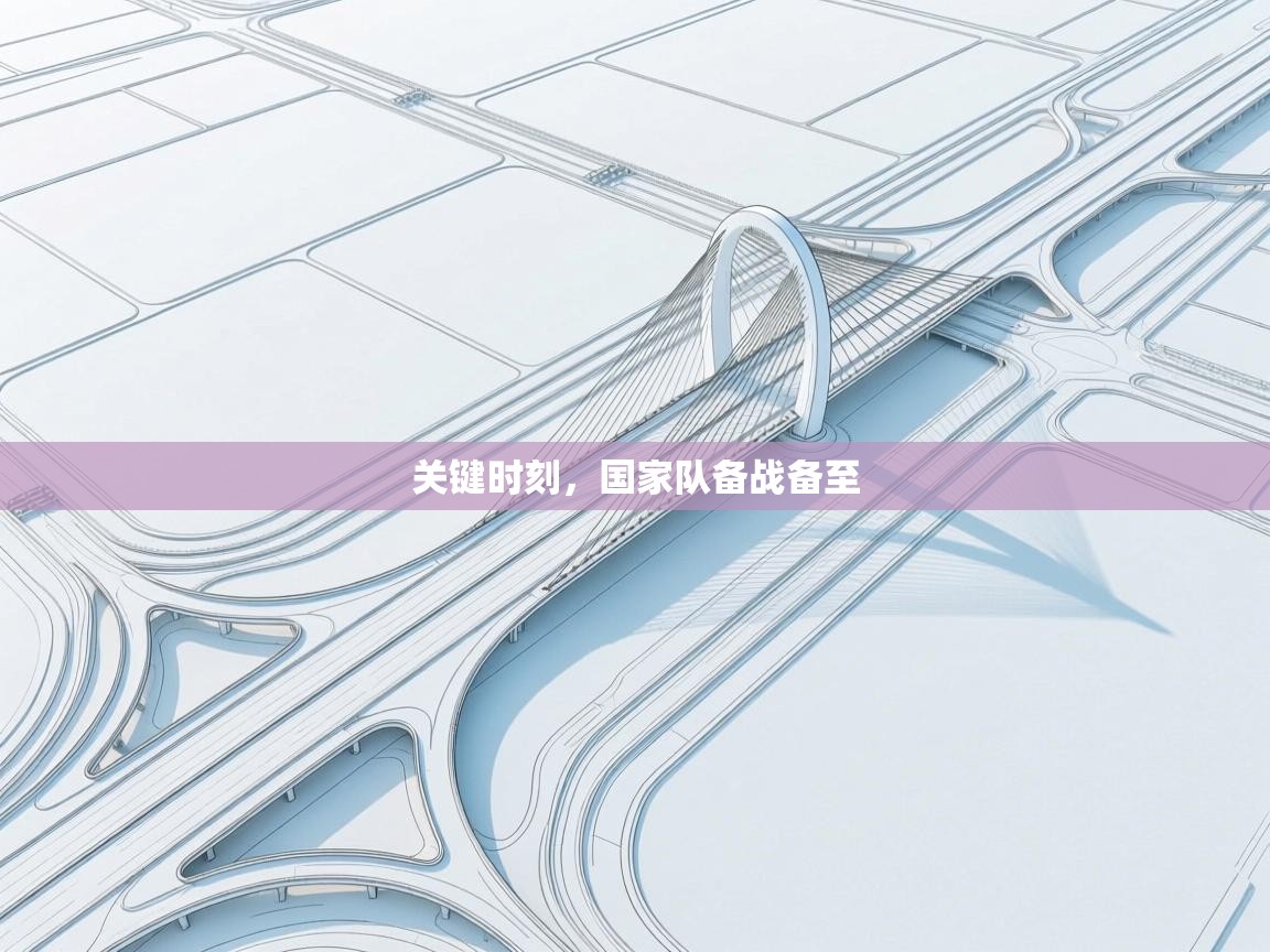 关键时刻，国家队备战备至  第2张