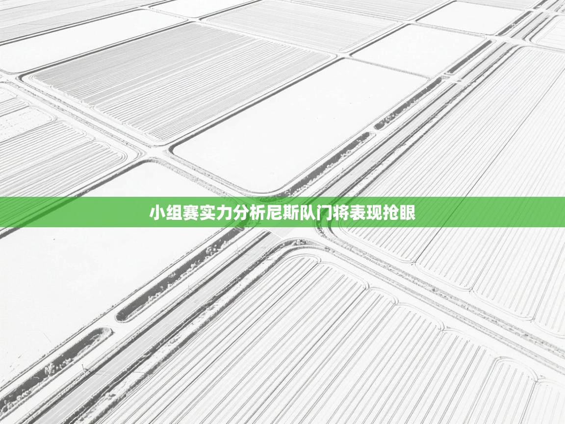 小组赛实力分析尼斯队门将表现抢眼 第1张